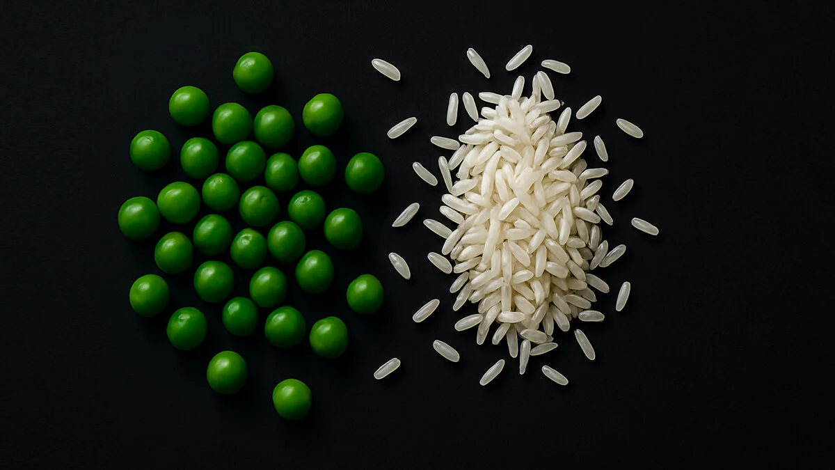 proteína guisante y arroz